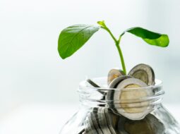 Michael Petruska - financial planning