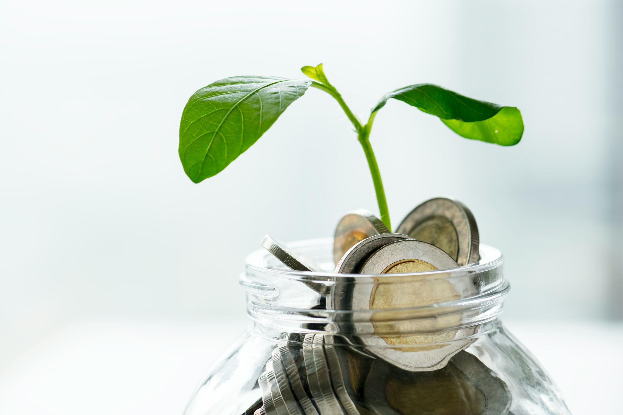 Michael Petruska - financial planning