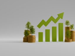 Financial Planning and Investing for a Secure Future Smart Steps for Long Term Success